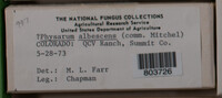 Image Associated With the Occurence